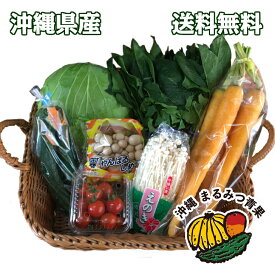 【送料無料】長寿の島沖縄から旬のお野菜と沖縄野菜のセット8〜9品【ゴーヤー 島らっきょう 青パパイヤ 葉野菜 きのこ ほうれん草 等 沖縄産 贈り物 ギフト 国産 野菜 国産野菜 健康的 野菜セット 詰合せ お弁当 買い回り】