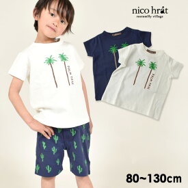 【50％OFF】【メール便可】ニコフラート 290141-13M PALM TREE Tシャツ キッズ ベビー トップス 半袖 刺繍 プリント パームツリー ヤシの木 植物 シンプル 男の子 女の子 子ども 子供服 nico hrat 4020666 【SALEsaleセールバーゲン】【SS】19fn