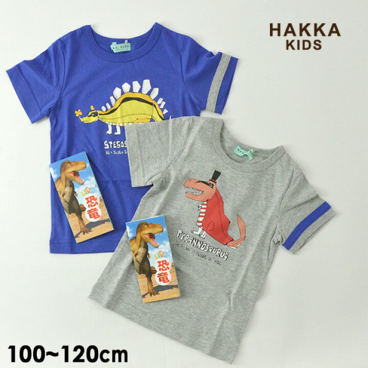 楽天市場 35 Off ﾒｰﾙ便可 ハッカキッズ 12mm 小冊子付 恐竜tシャツ キッズ トップス 半袖tシャツ Live図鑑 Ar きょうりゅう ギフト プレゼント 男の子 子供服 Hakka Kids Fss T Salesaleセールバーゲン マルミヤワールド
