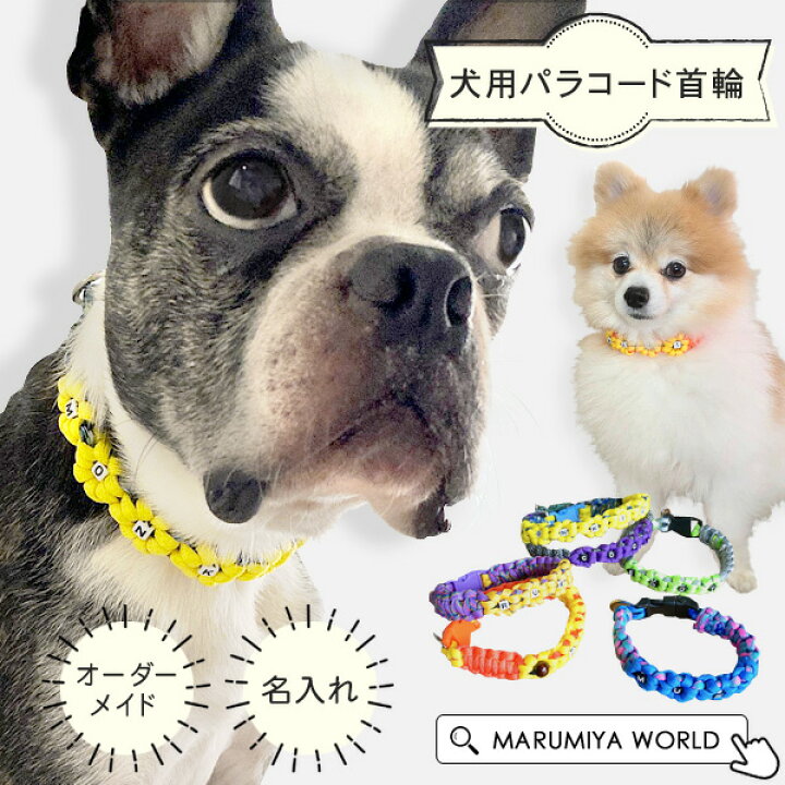 楽天市場】オーダーメイド 犬用パラコード首輪 名入れ 首輪 小型犬 