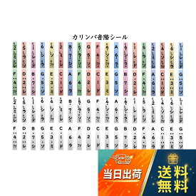 【送料無料】カリンバ 音階シール ドレミシール 1枚（2台分）