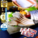 送料無料 金華さば使用 山漬け低温熟成 しめさば5枚(約140g前後×5) しめ鯖 金華鯖 金華しめ鯖 〆さば