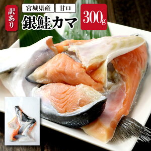 {錧Y 󂠂 J} 300g Ì    TP É