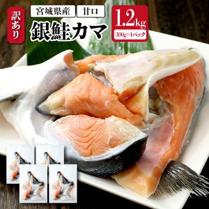 yIiꕔLGALjz{錧Y 󂠂 J} 1.2kgi300g×4pbNj Ì    TP É