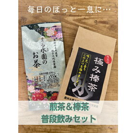 家庭用 煎茶 棒茶 静岡茶 普段飲み お手頃 自慢の一品 セット 緑茶 茎茶 100g入 200g入 ギフト 日本茶 熱いお湯OK