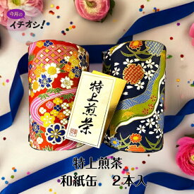静岡茶 特上煎茶 和紙缶 100g 2本セット 贈答用 お茶 缶入り 贈答品 おしゃれ 茶スプレッソ お歳暮 お年賀 贅沢な一杯