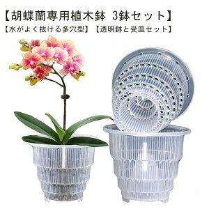 Aؔ 3Zbg  Ӓp ̔ Ӓp ʋCQ a12cm h~ Ӓ̐Aւ a15cm 锫 vX`