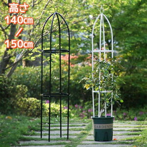 IxXN ACA gX op K[f x Ԏx  o KN  K[fjO U ȒP  ȈՑg ߉\ 鐫A  ΂ ؉ gݗ 