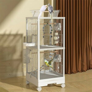   P[W  ʋC ^ a   o[h ^ LX^[t |₷ ot