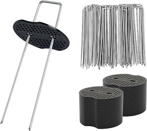 100{Zbg UsY ەt hV[g V[g Œp s