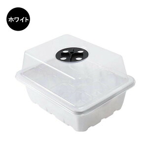 c|bg 3Zbg cgC c 12 铧Jo[ qgC ?cZbg ܂nEX c ܂ c{bNX ֗ ϋv ʋC ؍͔| A ƒ؉ 