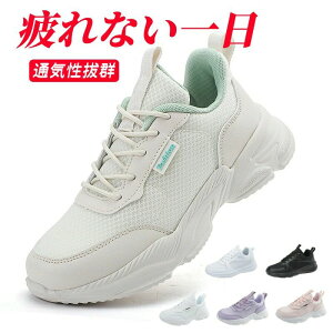 fB[X Xj[J[ Y C g[jOV[Y W V[Y EH[LOV[Y ɂ ꂢ  l 