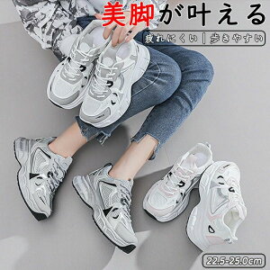 EH[LOV[Y jOV[Y Xj[J[ fB[X Xj[J[ fB[XXj[J[ C ꂢ IV ₷