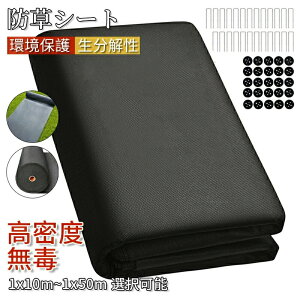 hV[g UsYƍەt ڂV[g  ϗpN5N Gh~ V[g ubN