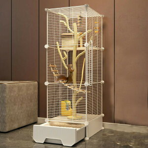 XP[W 3i 37*37*125cm ^Ao gC tNK V}X fO[ tFbg P[W ^  