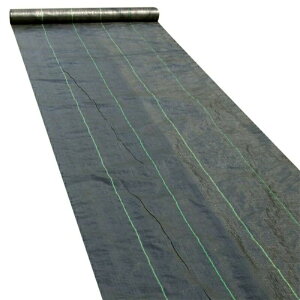 hV[g 1mx50m _pV[g 悯V[g V[g Gh~ ϗpN 2-3N 0.3mm Gh  lHŉ