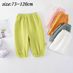 xr[Y{ xr[ pc 2_Zbg qY{ j̎q ̎q t 킢 xr[ pc  q V Ԃ {gX