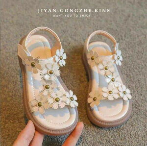 T_ ̎q hXV[Y LbY qC tH[}V[Y ~ r[`T_  \   ܎O 