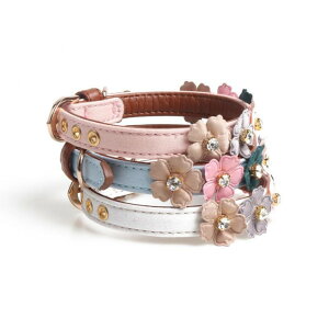   L ybg ObY 킢    t[  CXg[ LL Vv xg obN S