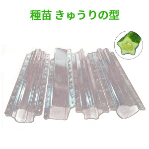 JlRc イ̌^ 4{ Zbgイ̌^ ^ JlRc n[g^ `e