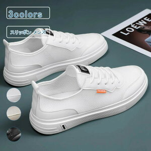 Xj[J[ Y [XAbv bV  [Jbg tbgV[Y ʋC y 傫TCY(cm) JWA  ₷ ₷  