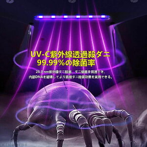 70P _j LEDfBXvC UV z zc|@ zcN[i[