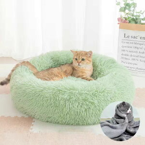 ybgxbh \t@ xbh Lxbh ӂӂ ی^ NbV h[icybgxbh 薰 Lp ^p g ~ ΍ \ q Lp TCYI