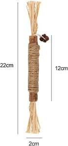 _ VR XeBbN  얞 XgX L LVт