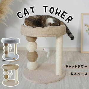 gȒP ϋv VRR ߂Ƃ ^s  lR|[ L^[ Lp܂Ƃ|[ u^ ȃXy[X Lbg^[