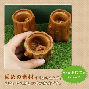 X яo XNC[Y XgX  U ObY m 킢 v[g  ii Cxg s  Aj}  ߋ w w v[g ̎q j̎q