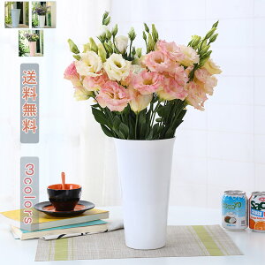 ԕr k t[X^h t[x[X Ȃ vX`bN ֑} hCt[ ԑ Ԋ u   y CeA Vv LC 傫  z j