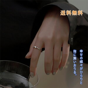 O w  X WG o^tC Vv lC t[TCY TCY\  fB[X o^Cf[ zCgf[  