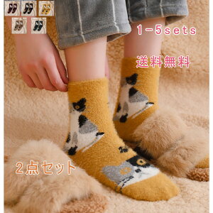 y2Zbgz \bNX V[g\bNX C  fB[X \bNX L L g  {At N  ӂӂ ₦C  ~  