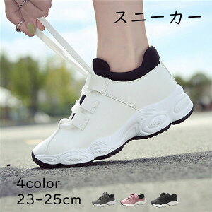 fB[X Xj[J[ ^C WMOV[Y X|[cV[Y jOV[Y tH s d ʊw ʋ Sn lC t@bV fB[X ̎q v[g Mtg U 