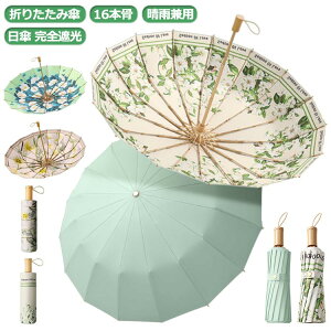 P ܂肽ݎP 16{ P JP Jp UVJbg fB[X  ԕ SՌ 16{P  ʋ ʊw v y ~J΍ 傫 Ռ ՔM 킢 ؎茳 䕗 JΉ 傫
