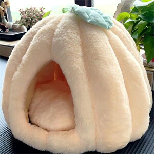 L nEX h[^ 傫 Lxbh 􂦂  LbgnEX g _炩 ybgxbh ^ NbVt ybgpQ ~ ybgpi xe p Lp