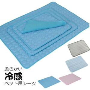 ybgpV[c ⊴V[c ybg}bg |GXe Ђ ⊴  L V[c bV N[ ₽ _炩 p}bg Jo[ ΍ MǑ΍  ~ ybgpi ėp a