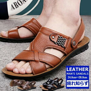 T_ Y Xb| U[  T_ [}OfBG[^[ r[`T_  AU[T_ t 2way tbg X|[c y ₷ ₷  