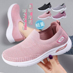 Xj[J[ fB[X  V[Y C EH[LOV[Y U EH[LO lC  [XAbv Ȃ