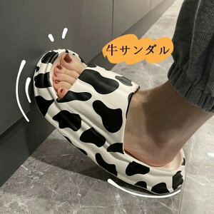 Y fB[X [V[Y  I[V[Y  t jp ~ R Xbp  Vv _炩y