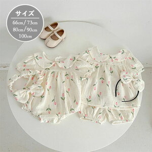 p[X ZbgAbv xr[ ؍  ԕ ̎q  Jo[I[ LbY  vg V Ԃ   