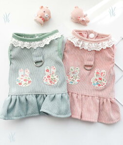  s[X t  ybg 킢 hX sN O[ hbOEFA [X Pl m Ȃ RX`[ lC t@bV _炩 ʋC ^ ^  L