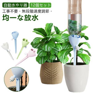  @ y12Zbgz  Lbv ƒp ybg{g      ?  ϗtA ybg{g K[fjO Lbv A  