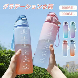 X|[c{g ^C}[J[t 1000ml 2000ml  e  y Xg[t ڐ 킢 1bg