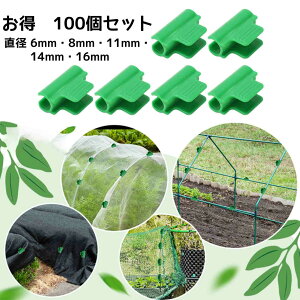 y100gz rj[nEXp rj[V[gNbv xNbv UNbv K[fNbv ؉񂽂pbJ[glpbJ[ _ppbJ[ JV[g l