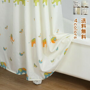 oXJ[e 킢 LbY[ 㕗 oXJ[e CJ[e Ԏd؂ J[e  i G肪Tb tȒP oX[ Cp ډB hJr h 