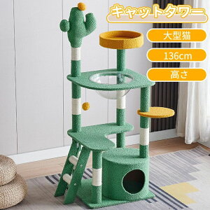 Lbg^[X^WA ^L X ȃXy[X u L^[ LbgnEX L Lpi ܂Ƃ