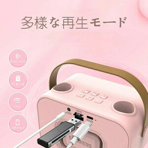 2025JIPZbg Bluetooth ~j JIP Xs[J[ }CN 2{t ƒp }CNXs[J[ CX }CN karaoke }CN LEDXs[J[   K lJIP fGbg ƒ
