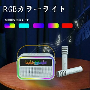 2025JIPZbg Bluetooth ~j JIP Xs[J[ }CN 2{t ƒp }CNXs[J[ CX }CN karaoke }CN LEDXs[J[   K lJIP fGbg ƒ