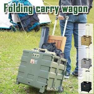 tH[fBOL[S 4color LX^[t ܂肽ݎ [ AEghA ܂肽ݎ